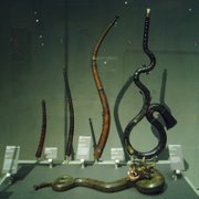 Cornets  bouquin, Paris, Muse de la Musique